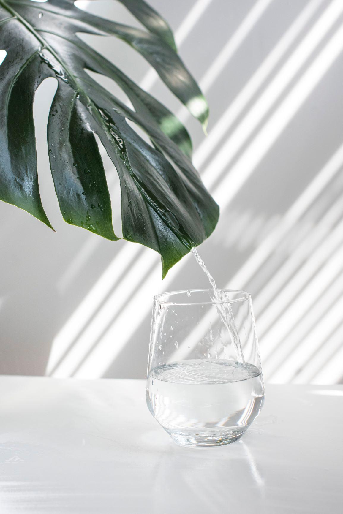 Just add water… - lapochette.co