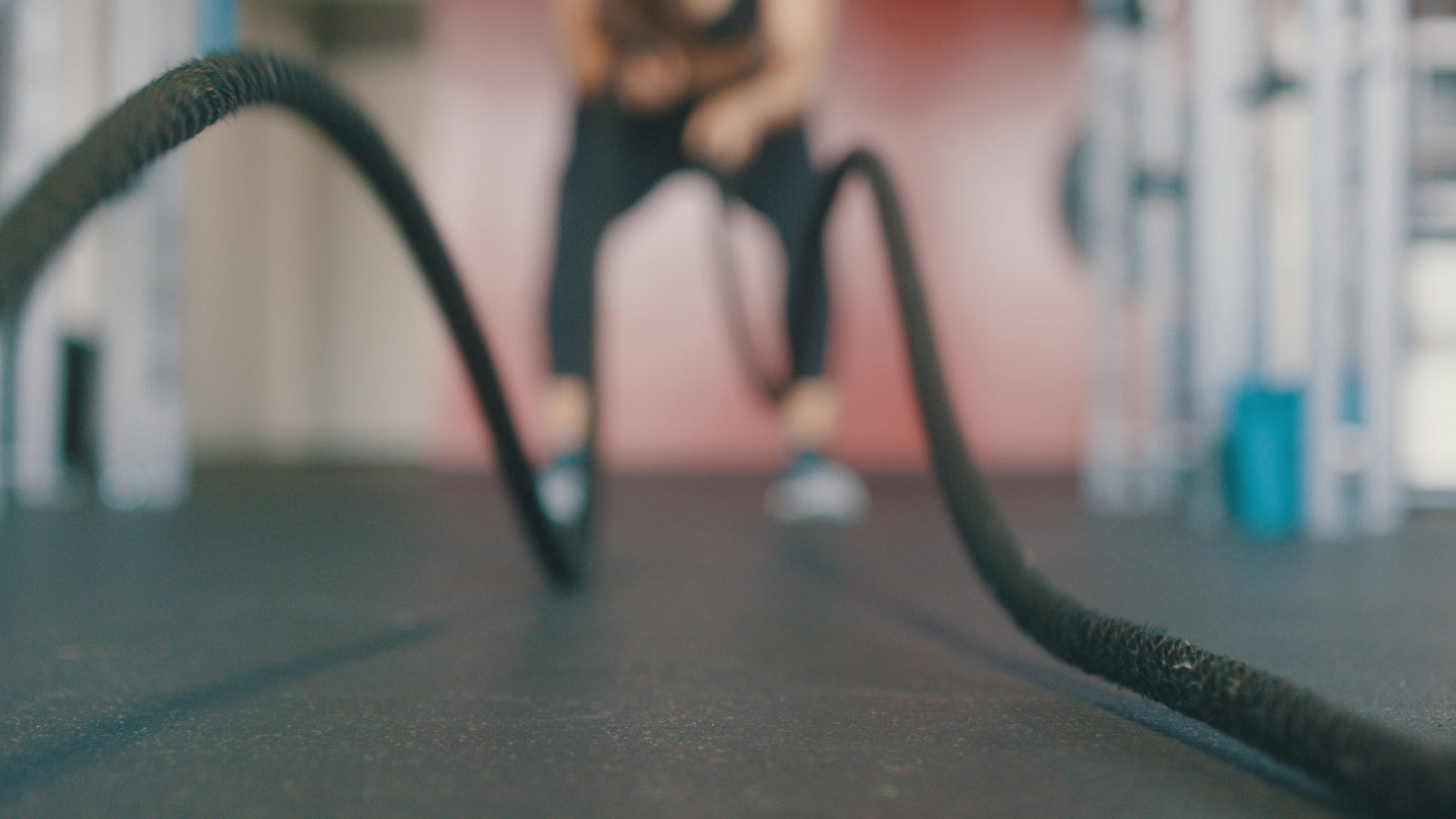 Disruptive Forces of Fitness - lapochette.co