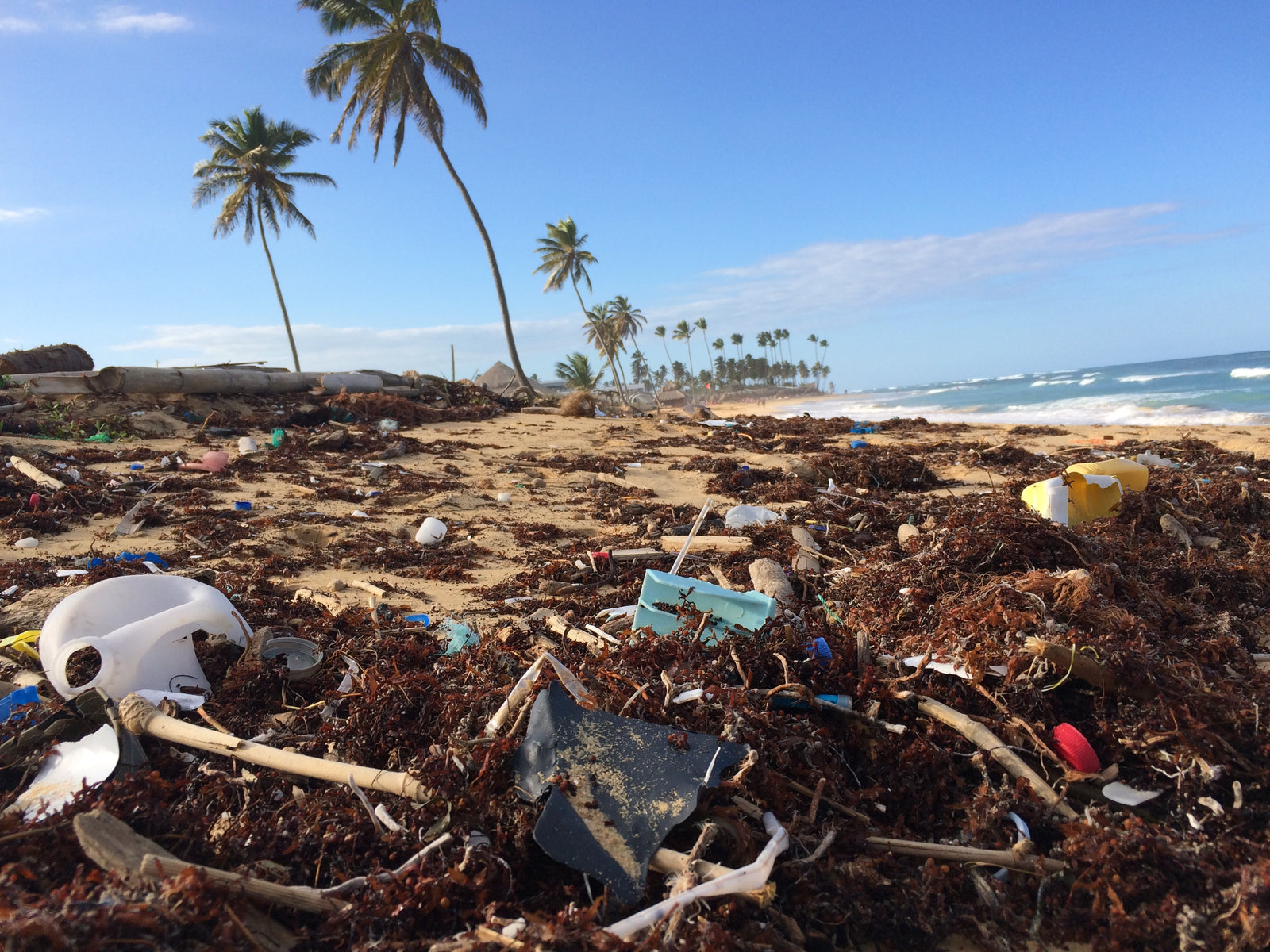 Global Goals – World Oceans Day - lapochette.co