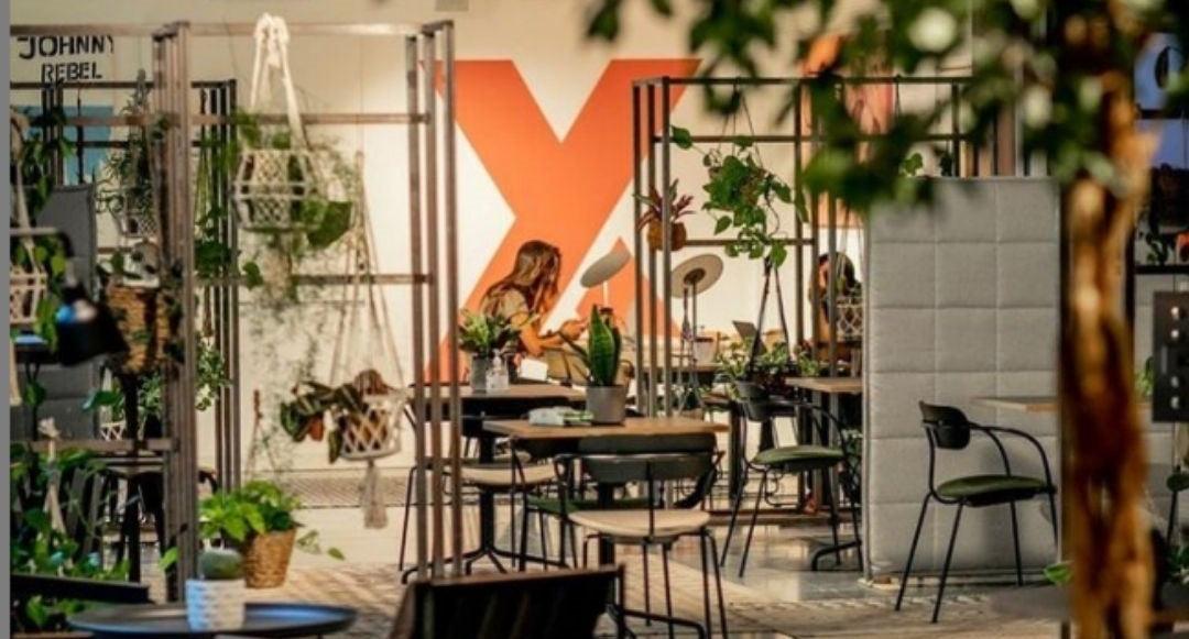 The Post-Pandemic Mindset : Guest Post X and Y - lapochette.co