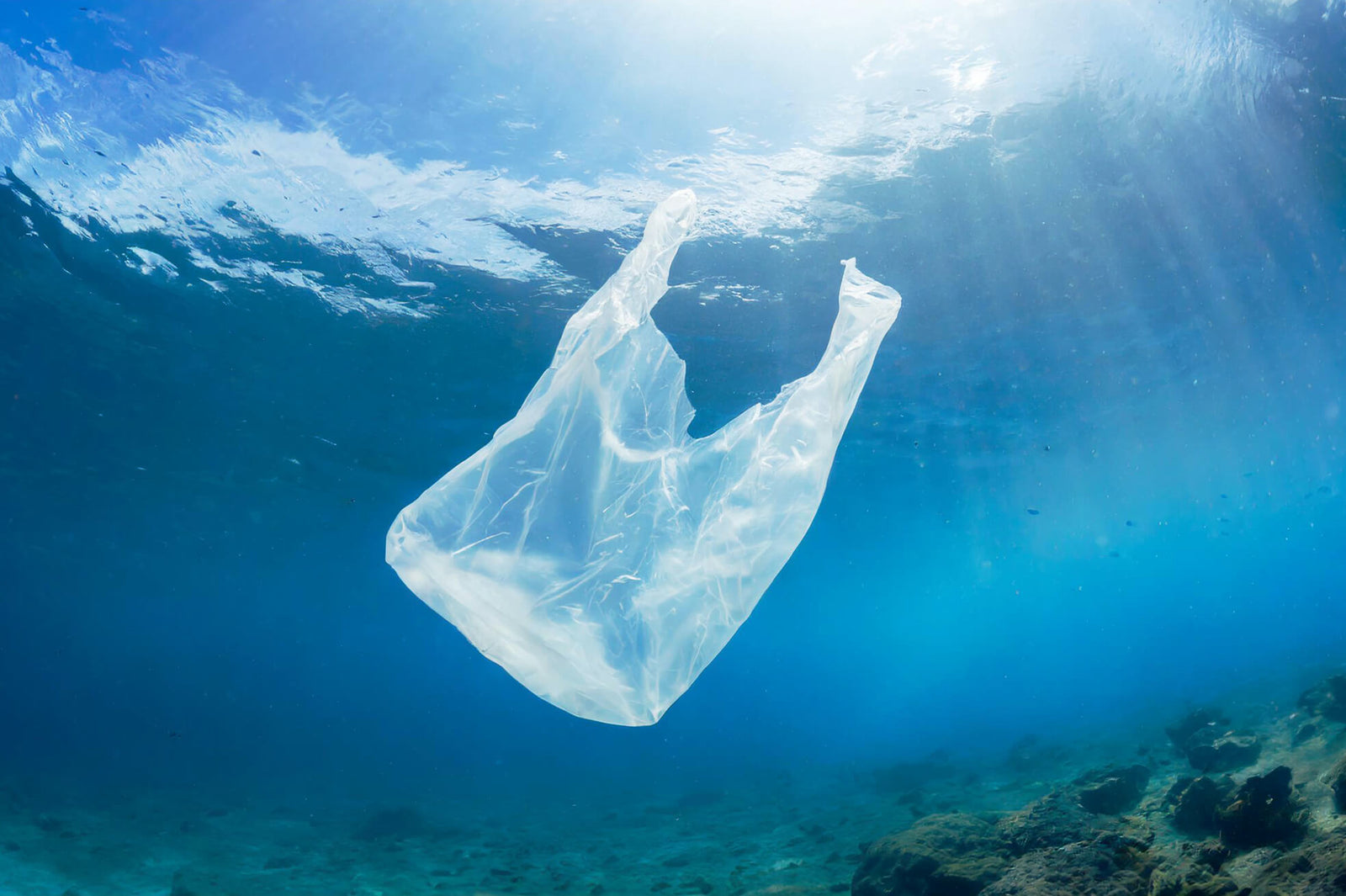 plastic bag in the sea